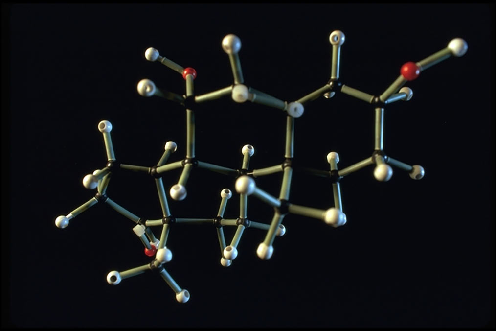 Recherche en Biotechnologie